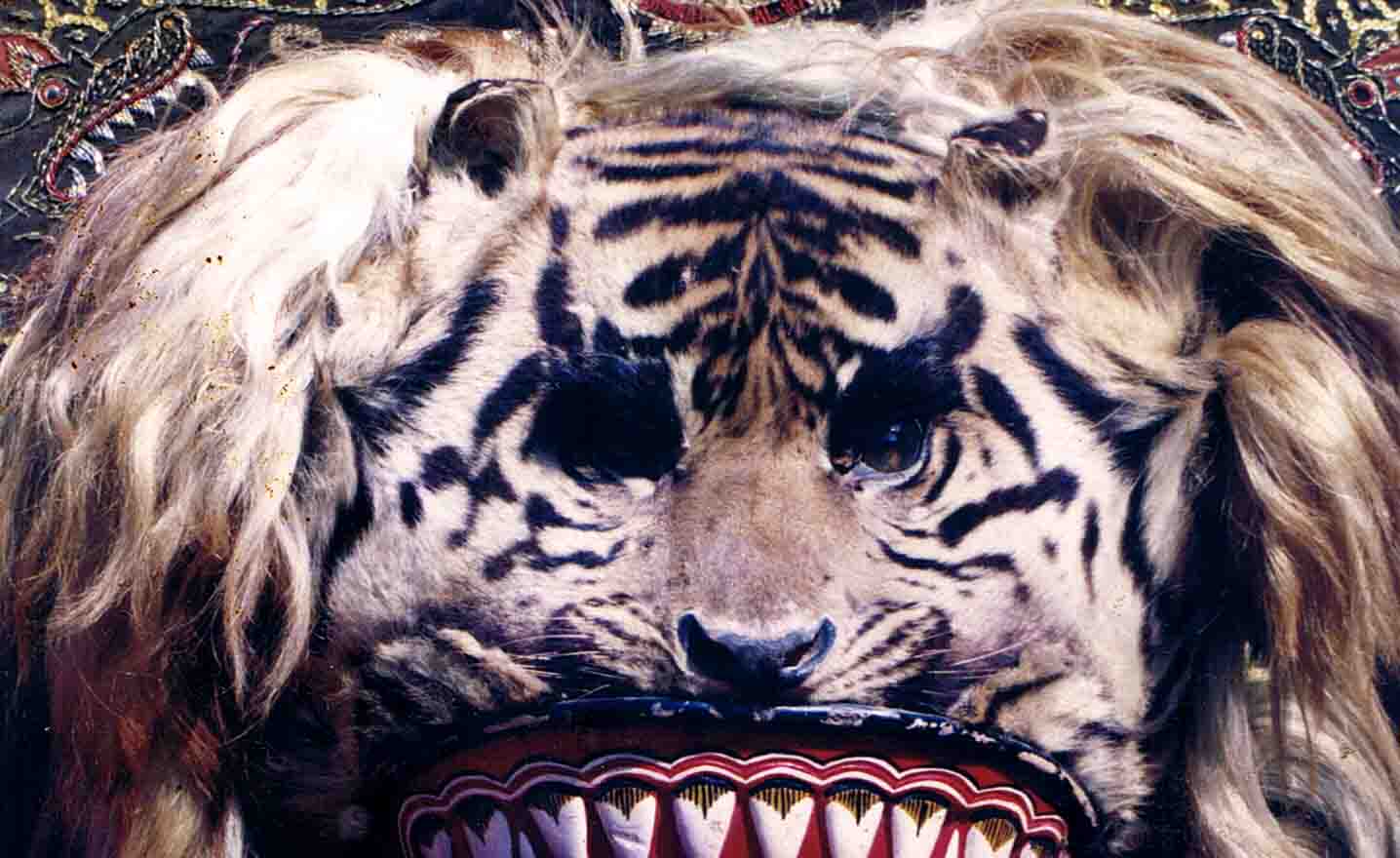 April 2010 Javan Tiger Centers Blog